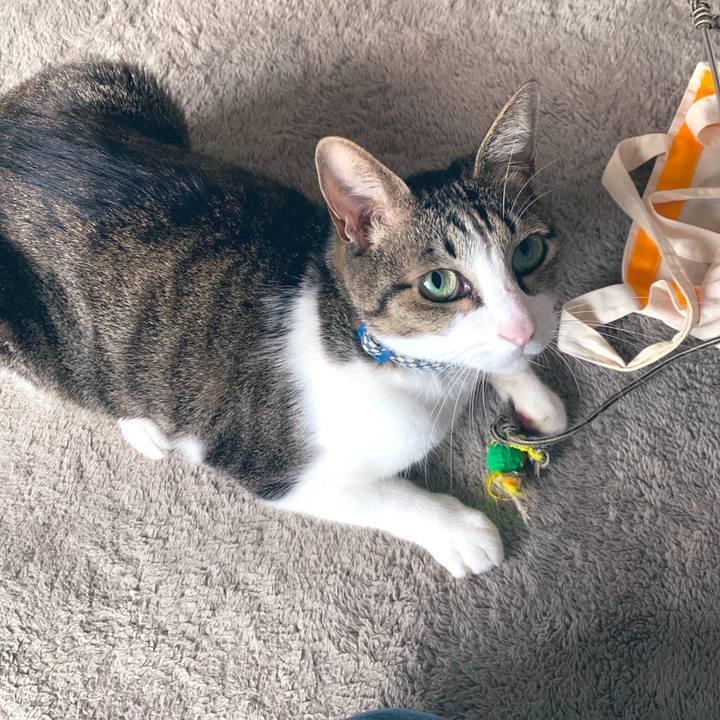 A2368a5e 8252 4138 80e8 7ff98bd100e1 1575291406947