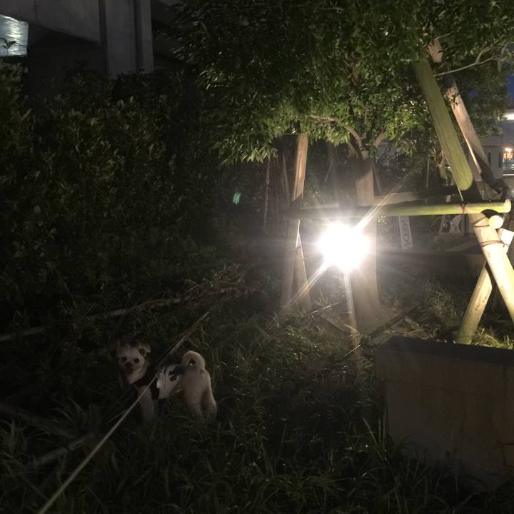 A236a8f3 69b2 4696 bfc0 85f7330ea097 1535282506387