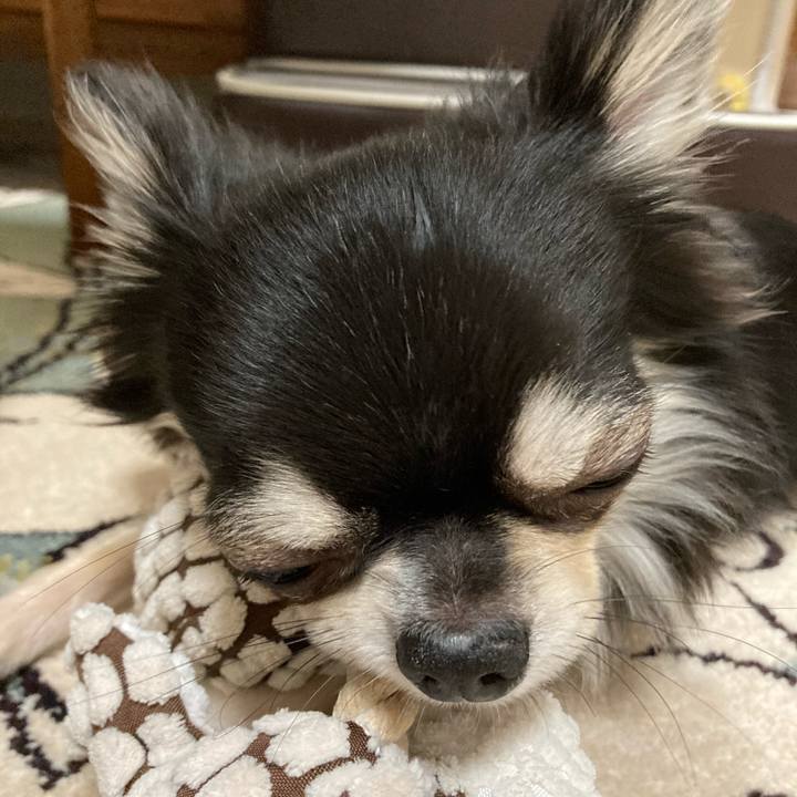 A236d89a 0831 471a 8a85 896726db9ce1 1622901699553