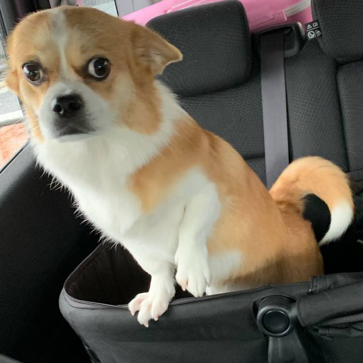 A236e3b2 c68b 4db0 85c1 4def584ca7c6 1594960346252