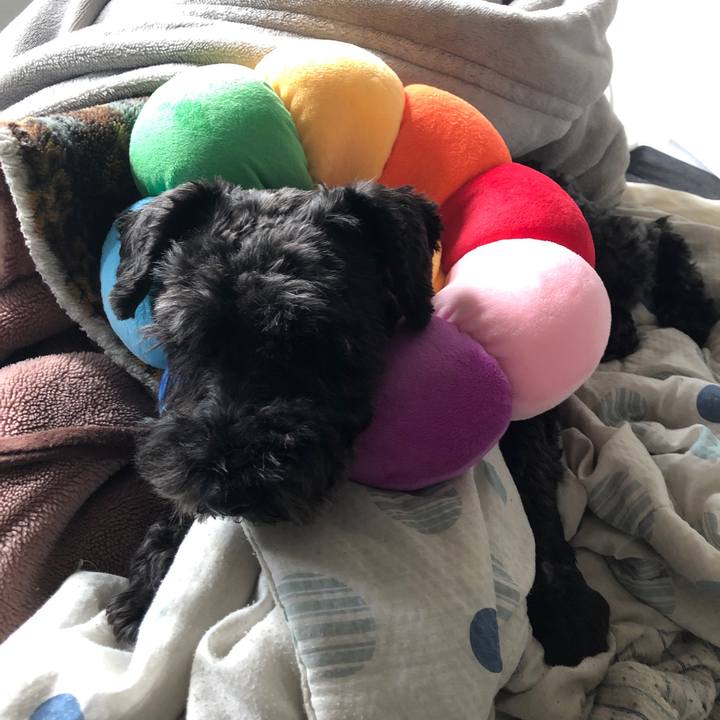 A237272a 679b 401f ac9b 29ba1b6fd900 1663556214828