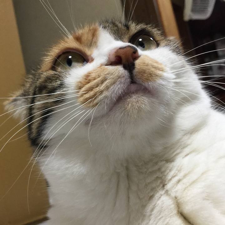 A237428c 97aa 4ded a69f 9c4d15550be7 1663500370638