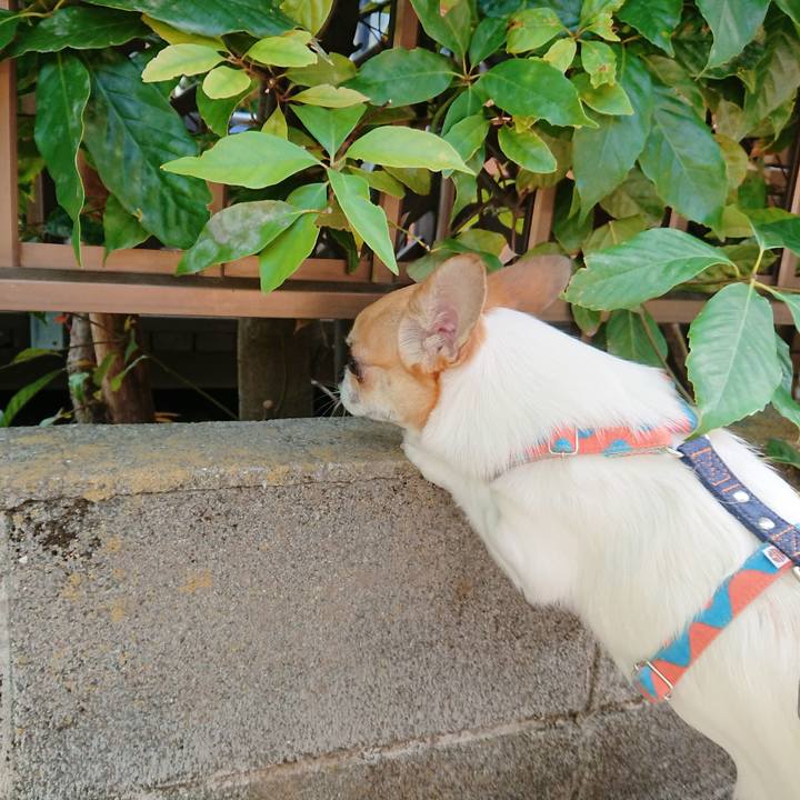 A237638e 4965 40dc 9a12 36f3f9a2f523 1621943302205