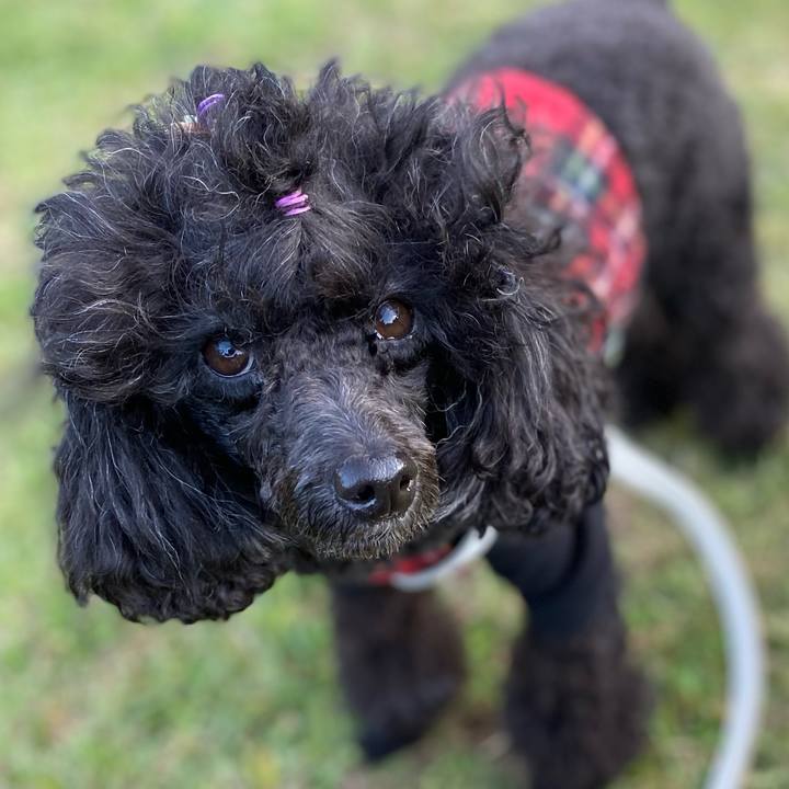 A237aa27 edff 48a0 86f1 ed94cc06c681 1635413492338