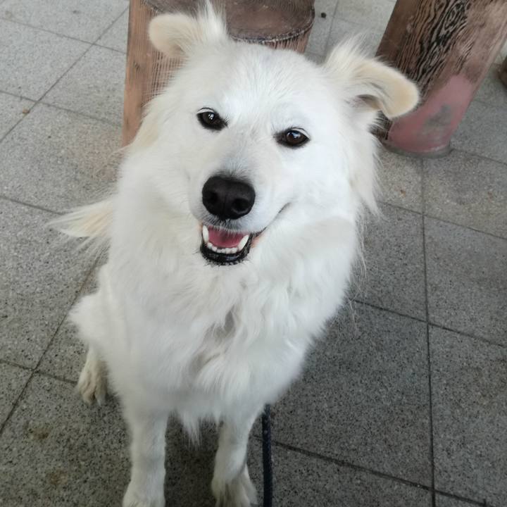 A237ad8f 8a3a 4e7c baf0 4bf1547d23d7 1519725249713