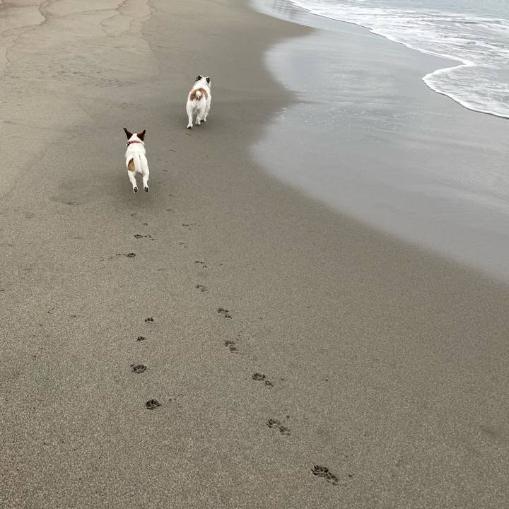 A237bd96 ec23 49db bb9d 40e981019930 1637538953564