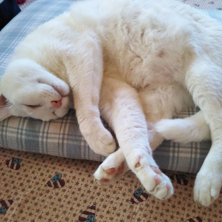 A237c740 bdee 4182 9f42 1814e2381f6c 1591069979148