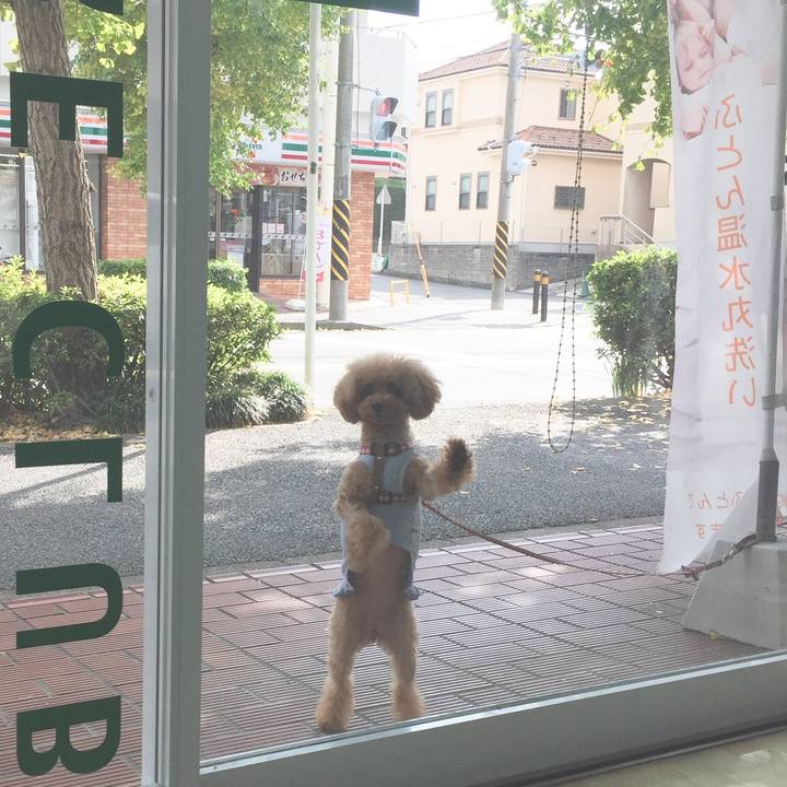 A237f251 2000 41b9 885e 426839642fe6 1511931388319