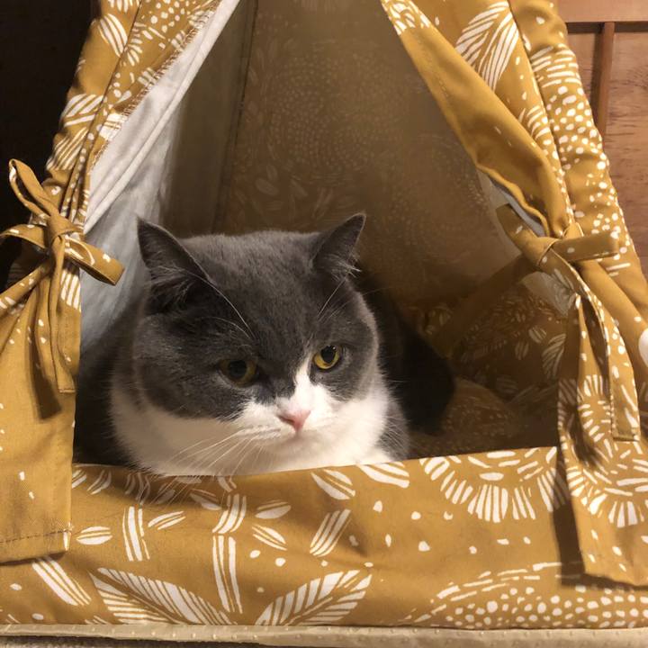 A23864ea b23f 4bdb a091 c88ae2d90482 1571916021350