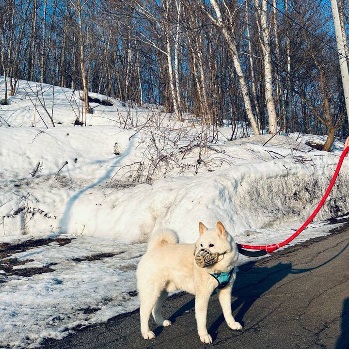 A2389f9f 2555 469b 80b6 2997b5d45563 1773617663757