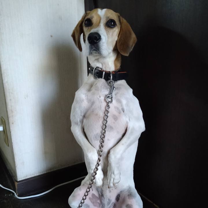 A238d443 0c68 46da b747 35361d295b90 1663212462425