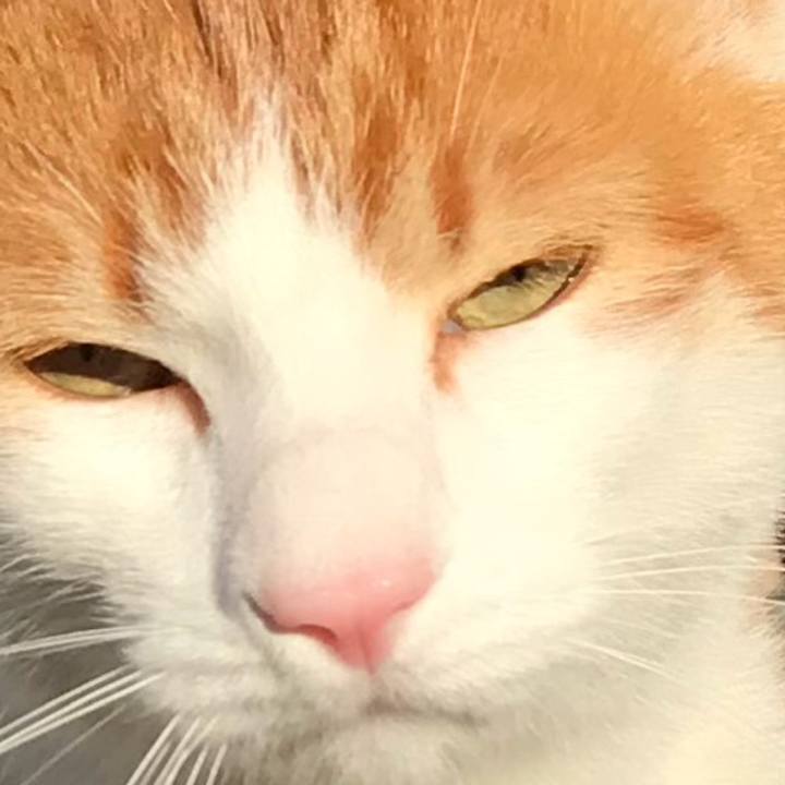 A2393945 bac1 44f2 a58e 8338415aef18 1516463679008