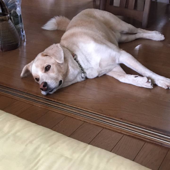 A23944c2 4e69 4b53 8e8a 40aec94f74ea 1533435829224