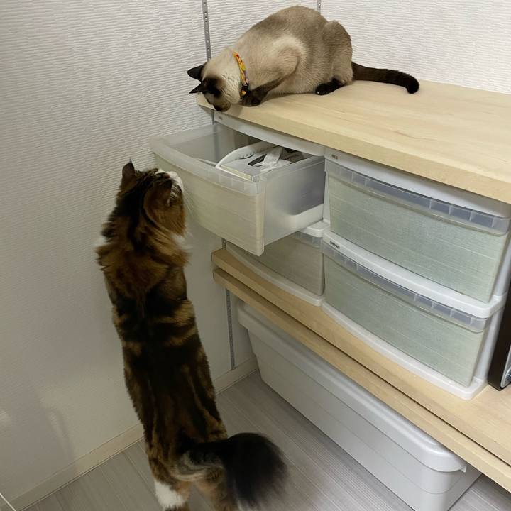 A23971bc fbf1 4ee1 94ac f2b87cc8c396 1725220145517