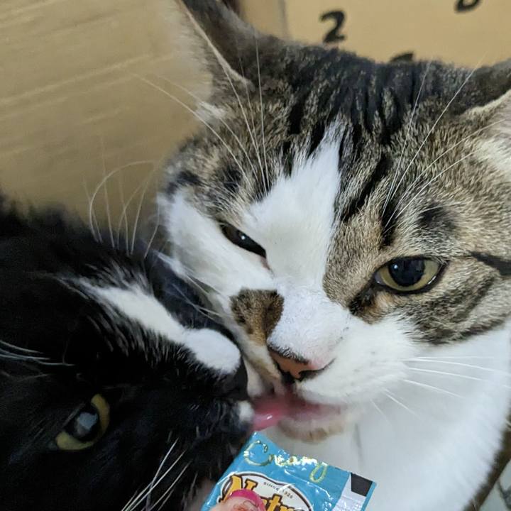 A2397db4 8397 4b48 8ef7 c8a81f6fa0f8 1681820819081