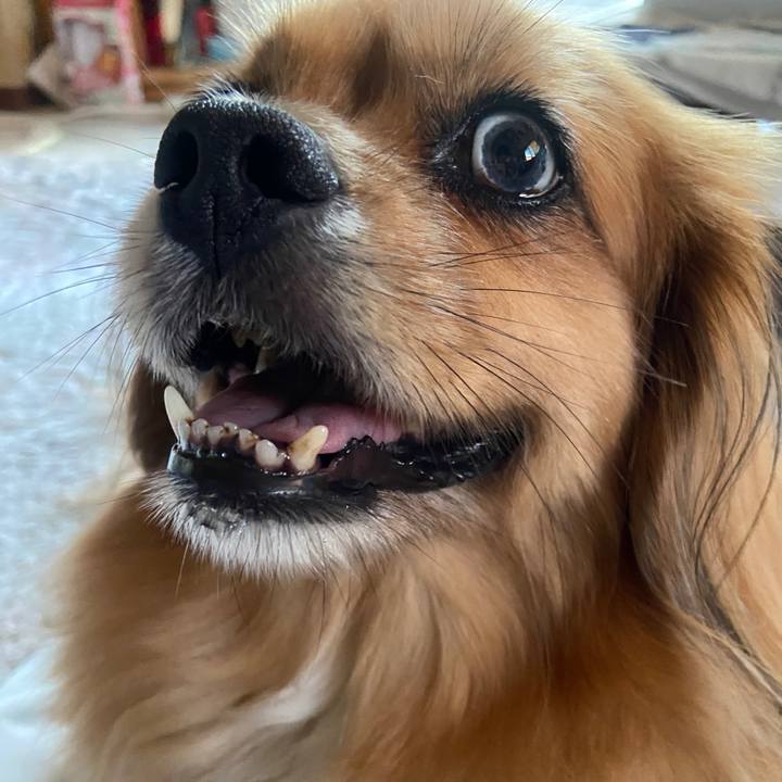 A2399056 f39c 4696 8ccb cf7ee5c1f9e3 1658958335063