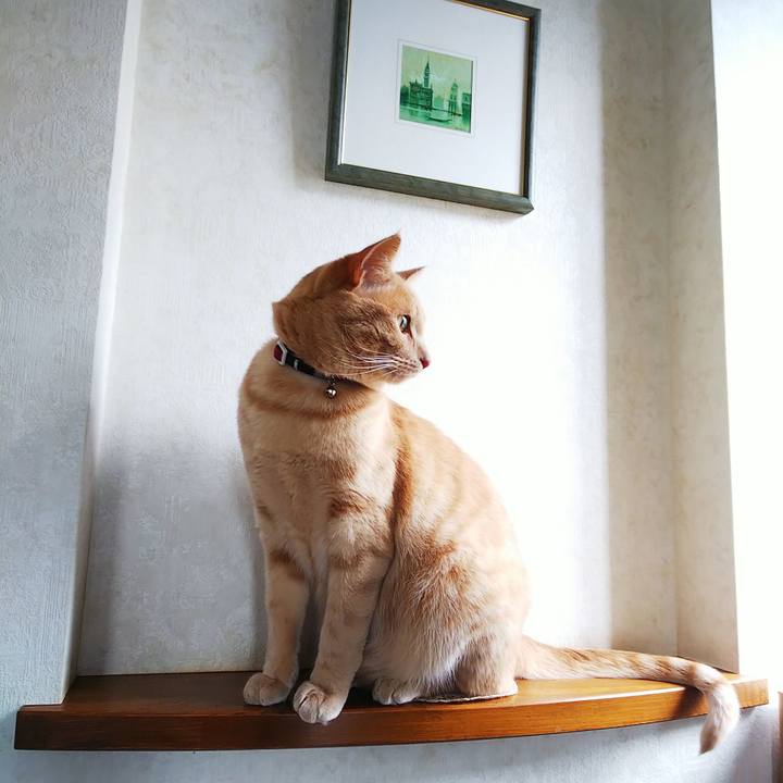 A239a008 4359 4dff 8d4f 13d560121661 1595633676929