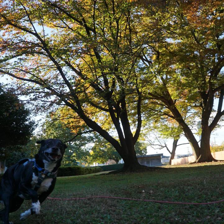 A239a049 1a8e 4aa5 b7fb 6ff13a391d33 1762906557525