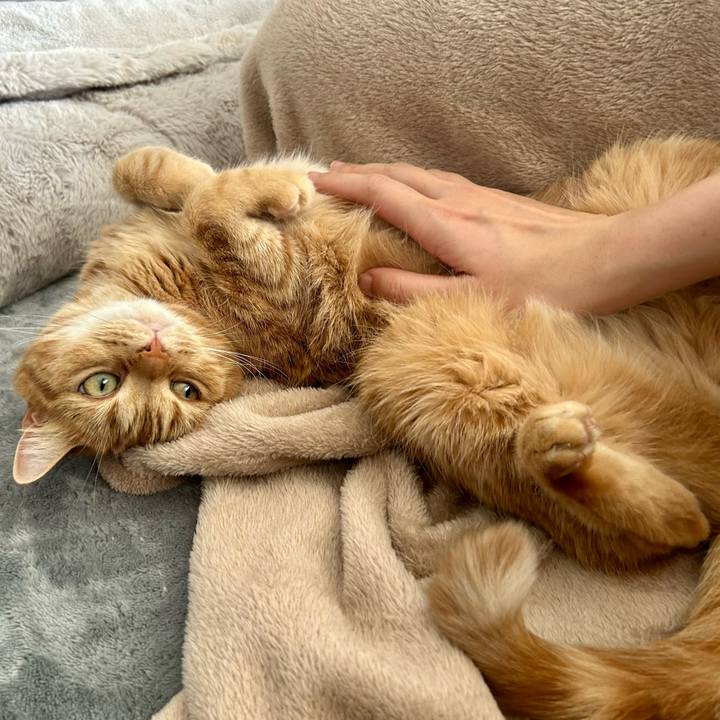 A239a6e6 dc1c 45eb b148 a3cb88495bc3 1714717464617