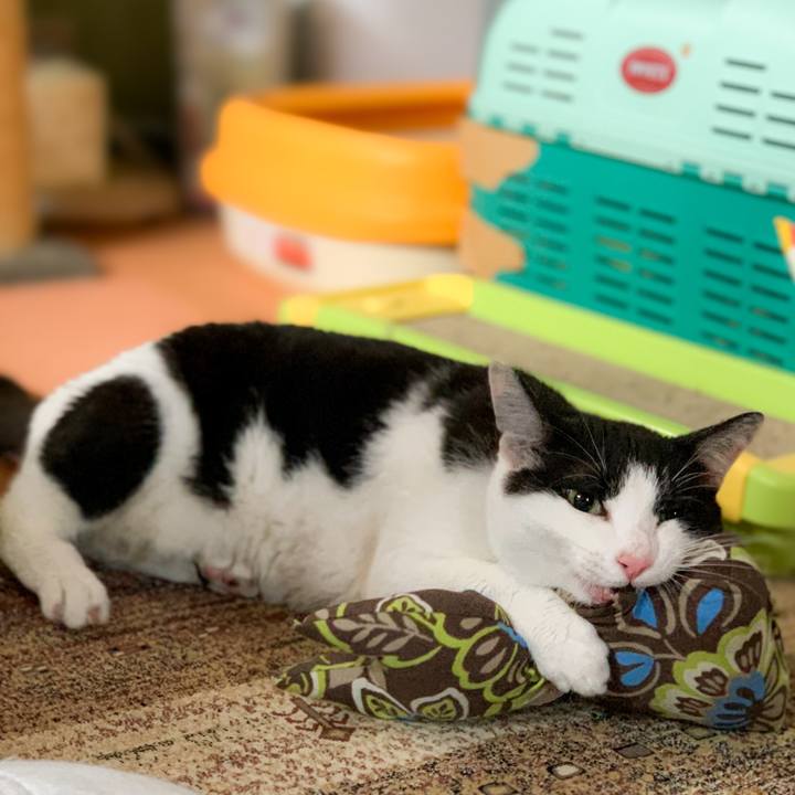 A239ae8b 6f13 4cba b2ca 15d2fe7a8514 1593914874200