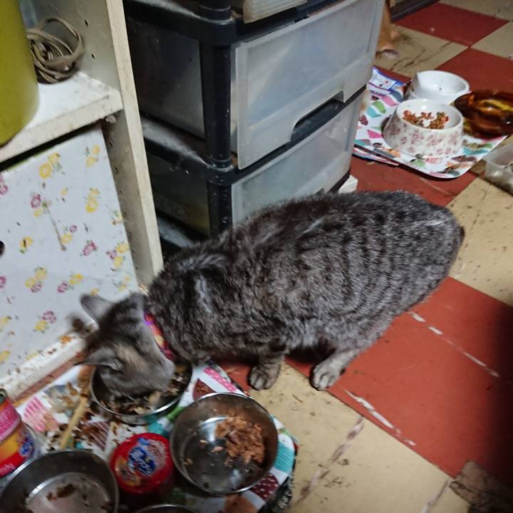 A239b008 233c 480a 986c bd023b8ce8a0 1593460659479