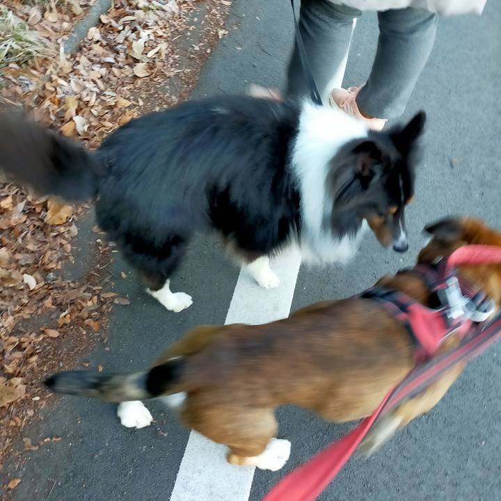 A239d085 61af 42c2 a8b9 79c9d8efde8e 1640093389889