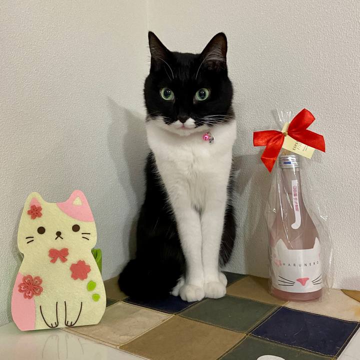 A239d796 622b 41b1 b0d3 33437c138ac3 1617466414739