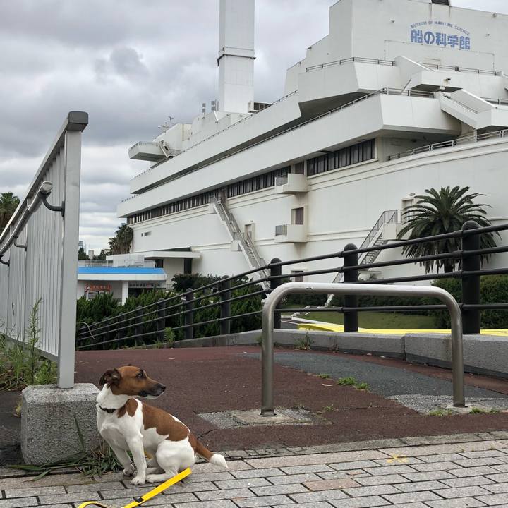 A23a046a bf0a 4394 9a02 d75ee66a75f3 1526079552006