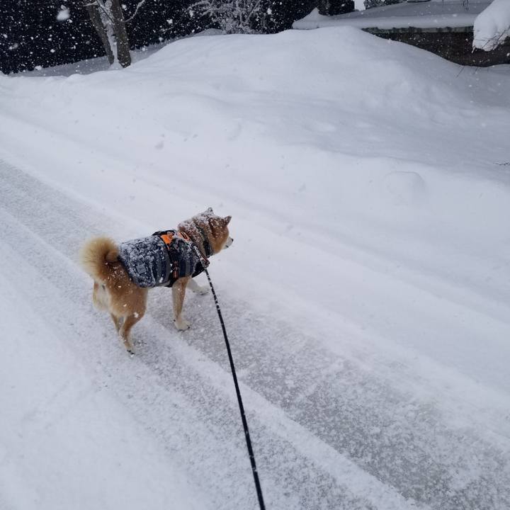 A23a147f dd0d 449a 94c9 29a43533e304 1706153410577