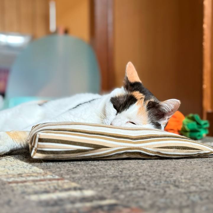 A23a2546 525f 4333 bfa9 d174b6993496 1729648122676