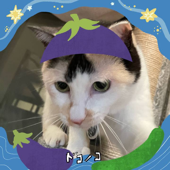 A23a70dd 9f68 4c36 985d ec35cc2072ae 1755322912975