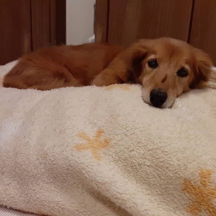 A23a8a12 6c79 4e0c 91c1 bf609c3ee9af 1668607209405