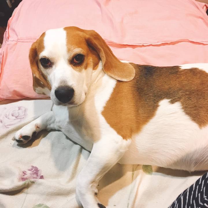 A23a95ff 35e3 4162 a812 a80a23fb2abf 1523837022403