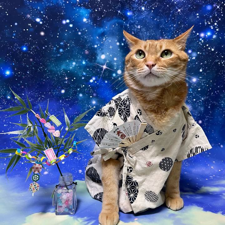 A23a9af6 a803 400a 874a 35c7c27a18c6 1688677987822