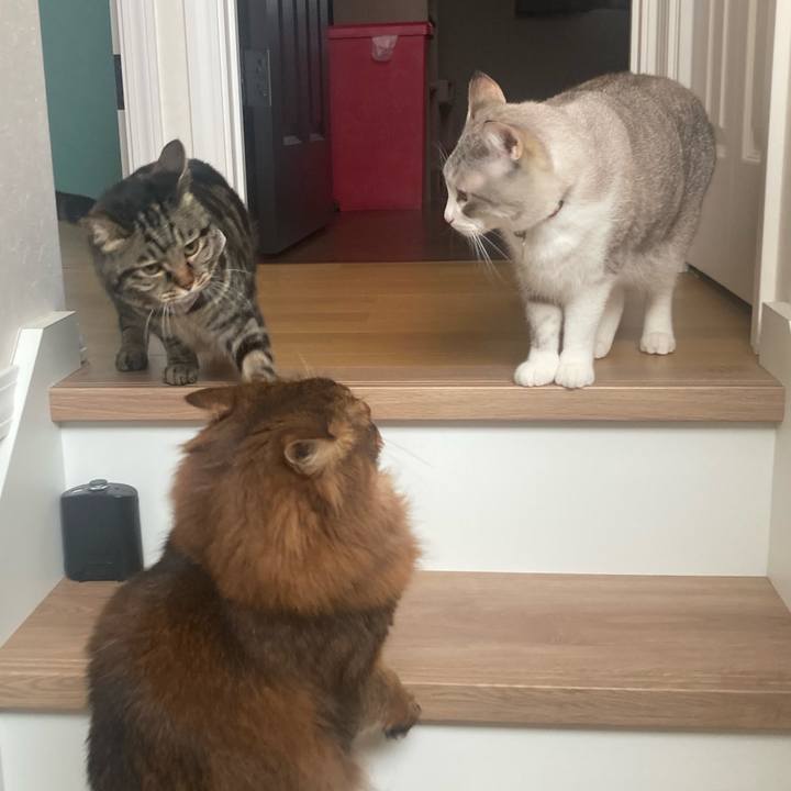 A23b7c70 8f48 41d1 be06 ed1441b3aa29 1681098055746