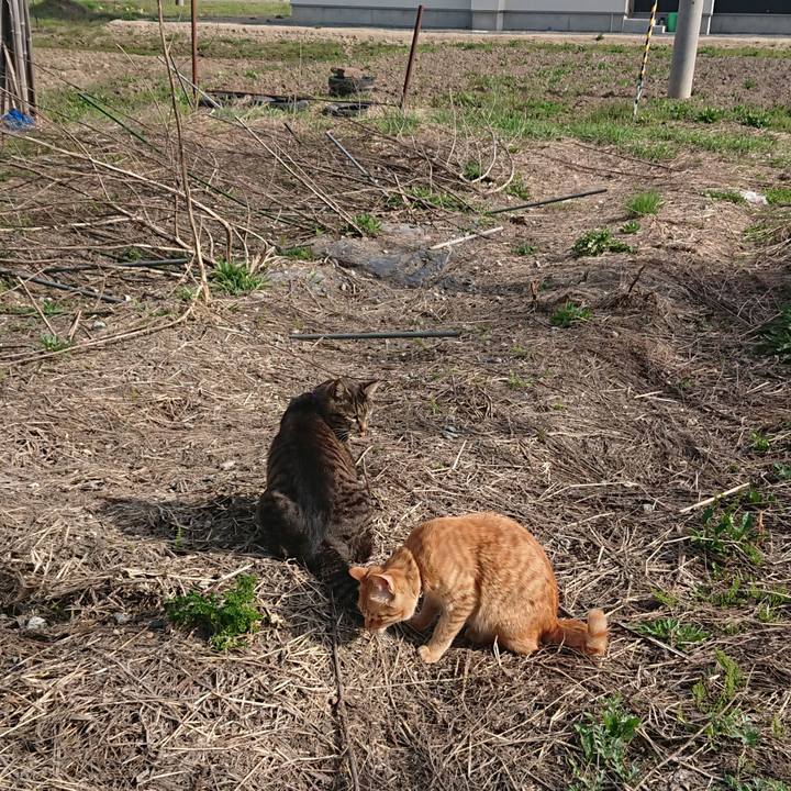 A23b7cd0 578f 4b75 b580 ffd16513de70 1650889328691