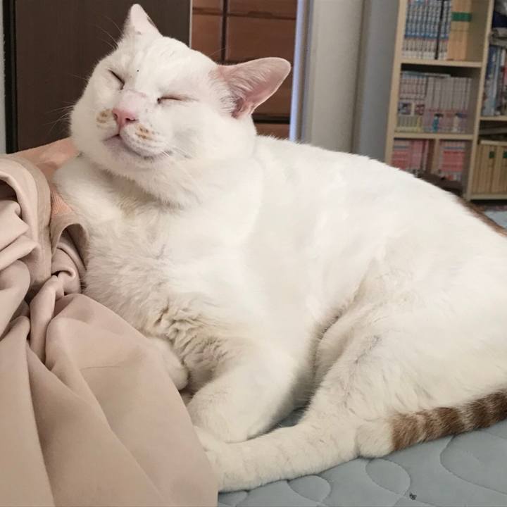 A23bb750 41fd 4be0 870e 5d16da9d56e6 1539953809233