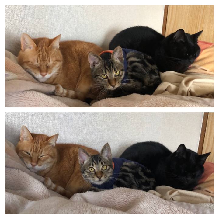 A23bcf52 4ac4 4a9e 94fb 7f155f6f8a71 1731386746917