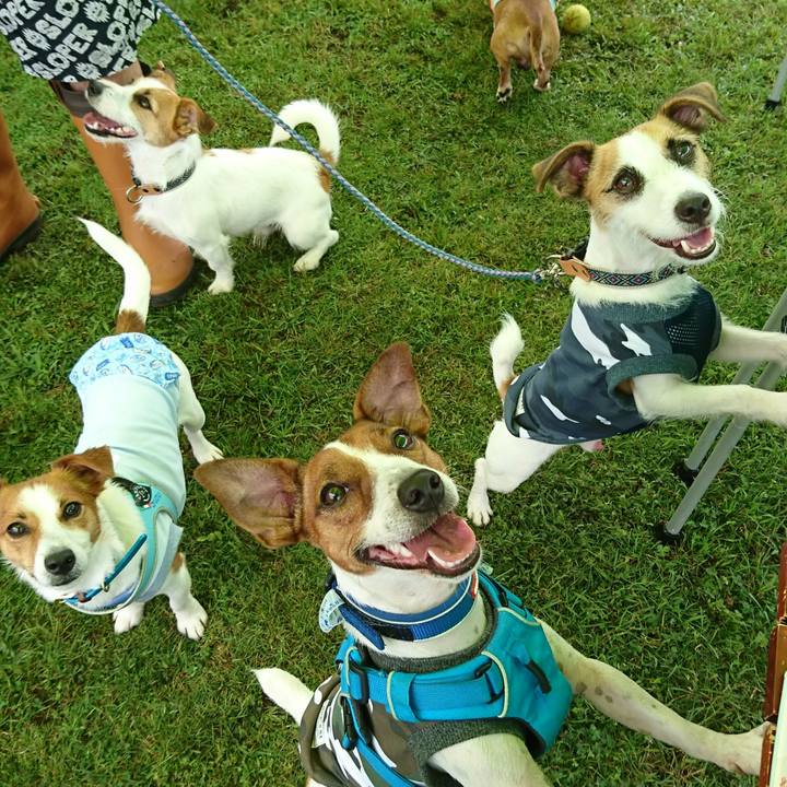 A23bd638 1612 40d8 9ff9 4c49cfc89d74 1562395532691