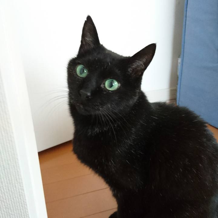 A23beeff ce40 4ba3 86ae 697f8870536a 1556105048619