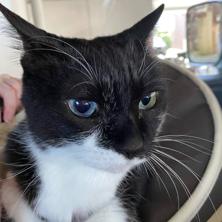 A23bf0de 3641 4067 be8f a7bcd1421d5b 1653836062641