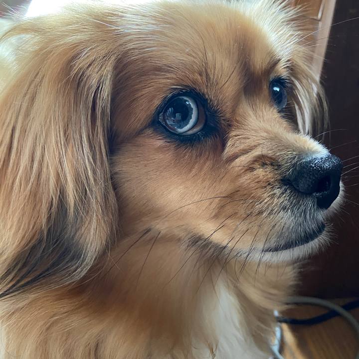 A23bfe06 597d 4083 a50d 0b060c599c38 1619668792083