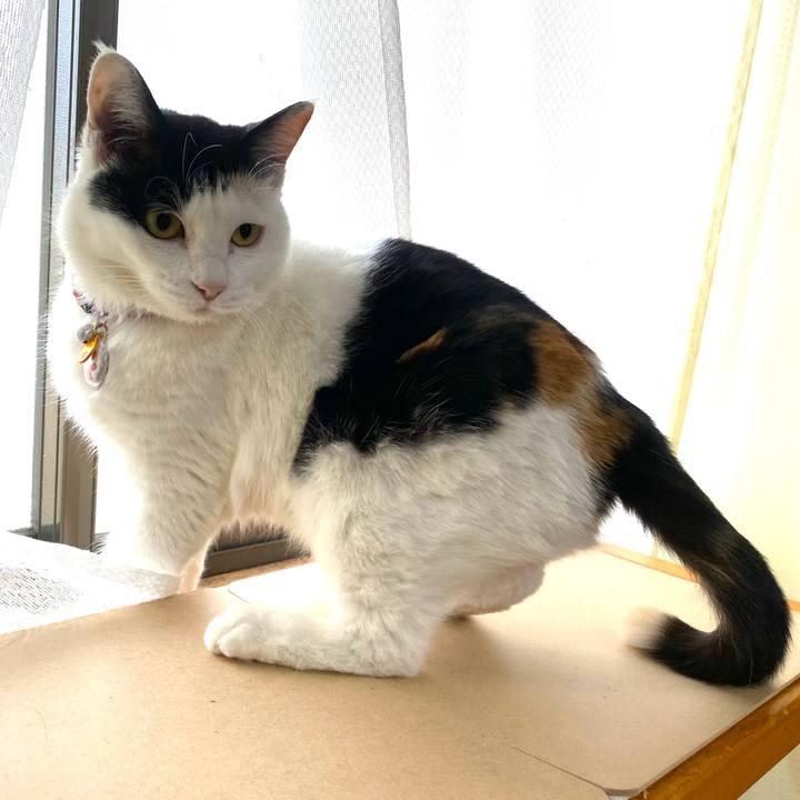 A23c13dd aed1 43a7 98fe 01b19680da3b 1647737886884