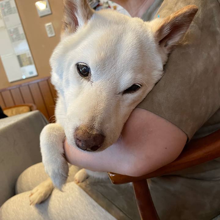 A23c1abd a0b7 4bb8 8886 f1433240f86a 1654259104654