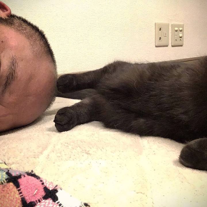 A23ca8a4 306b 41ef bb51 a914172e0063 1519924402263