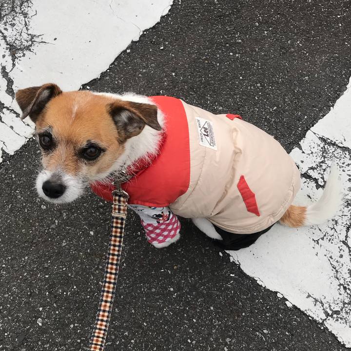 A23cbe99 556a 492f 8859 8386b74e4777 1516924786405