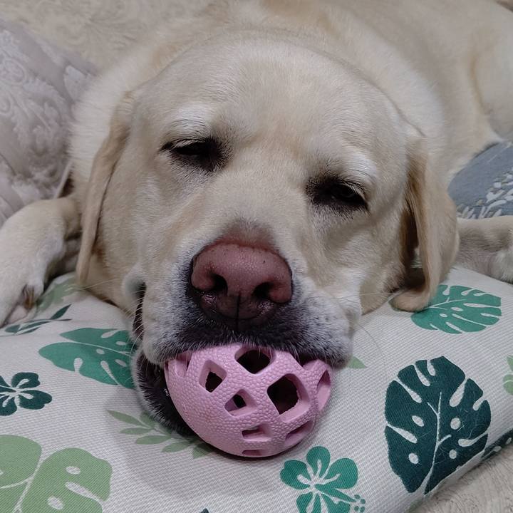 A23cddd5 f66c 4805 b09b ad8d0c812216 1631690214657