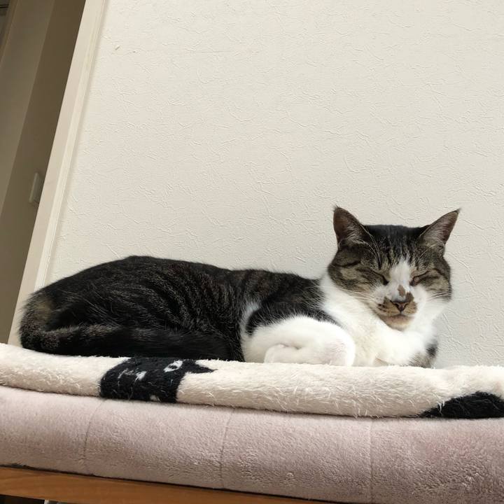 A23cf643 9122 4042 b3ef b14600d6cbc1 1542845652085