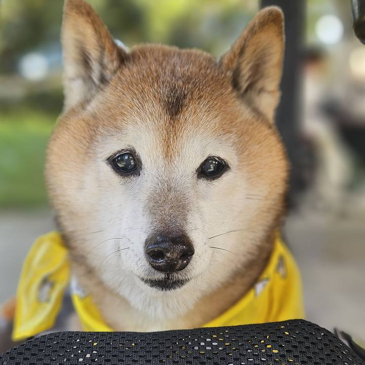 A23cfd07 ddb1 4b4b af49 b2c4fb612c95 1764056843801