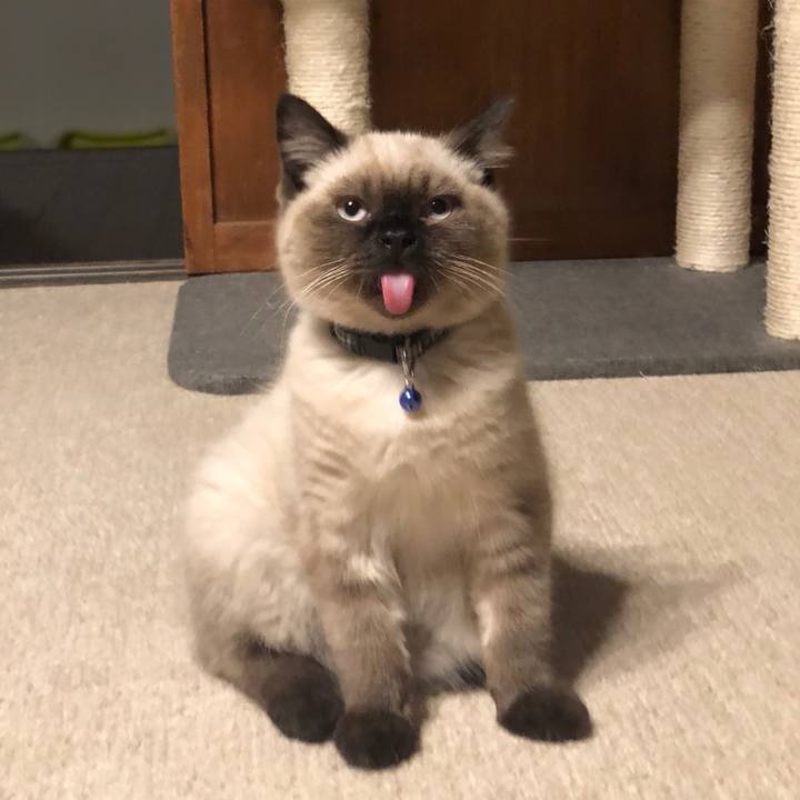 A23d0353 0d45 499c b4dd c5ffac2017e6 1589887442474